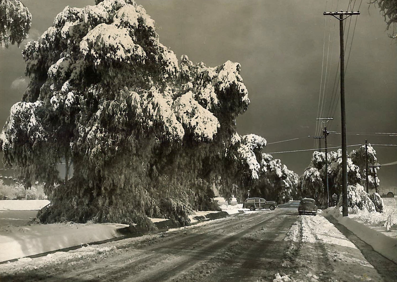 Illustration for article titled L.A. Weather Isn't Always Perfect: Snow & Hurricanes in the Southland